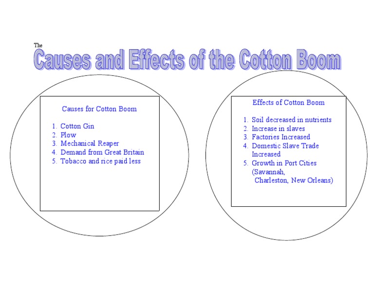 Causes and Effects of Cotton Boom Cotton Agriculture