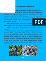 Deshidratare Prune 2014