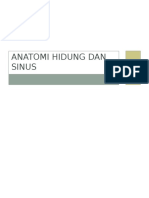 anatomi hidung dan sinus.pptx