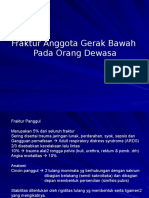 Fraktur Anggota Gerak Bawah Pada Orang Dewasa