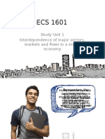 Study Unit 1 Interdependence of Major Sectors, Markets and Flows in A Mixed Economy