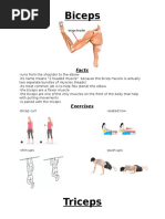 Muscle Presentation Sheets