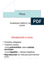 Virus