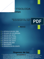 Anatomia y Fisiologia Humana