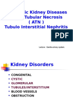 Policystic Kidney Diseases Acute Tubular Necrosis (Atn) Tubulo Interstitial Nephritis