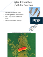 Nucleus and Nucleic Acids - Protein Synthesis and Secretion - DNA Replication and The Cell Cycle - Chromosomes and Heredity