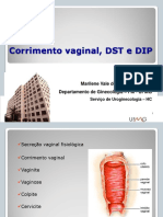 Corrimento vaginal, DST e DIP: principais causas e tratamentos