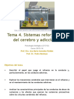 Tema 4. Reforzadores Del Cerebro y Adicciones 2015 PDF