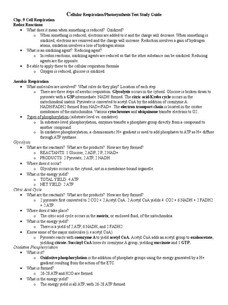 Cellular Respiration and Photosynthesis Guide | PDF | Cellular ...