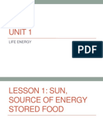 Unit 1: Life Energy