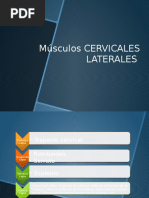 Diferencias Entre Peces De Agua Dulce Y Agua Salada