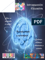 Introspección1 PDF