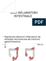 Gastroenterologie Boli Inflamatorii Intestinale