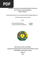 Download Laporan PKL KELAPA SAWIT by Michael Risci SN297824093 doc pdf