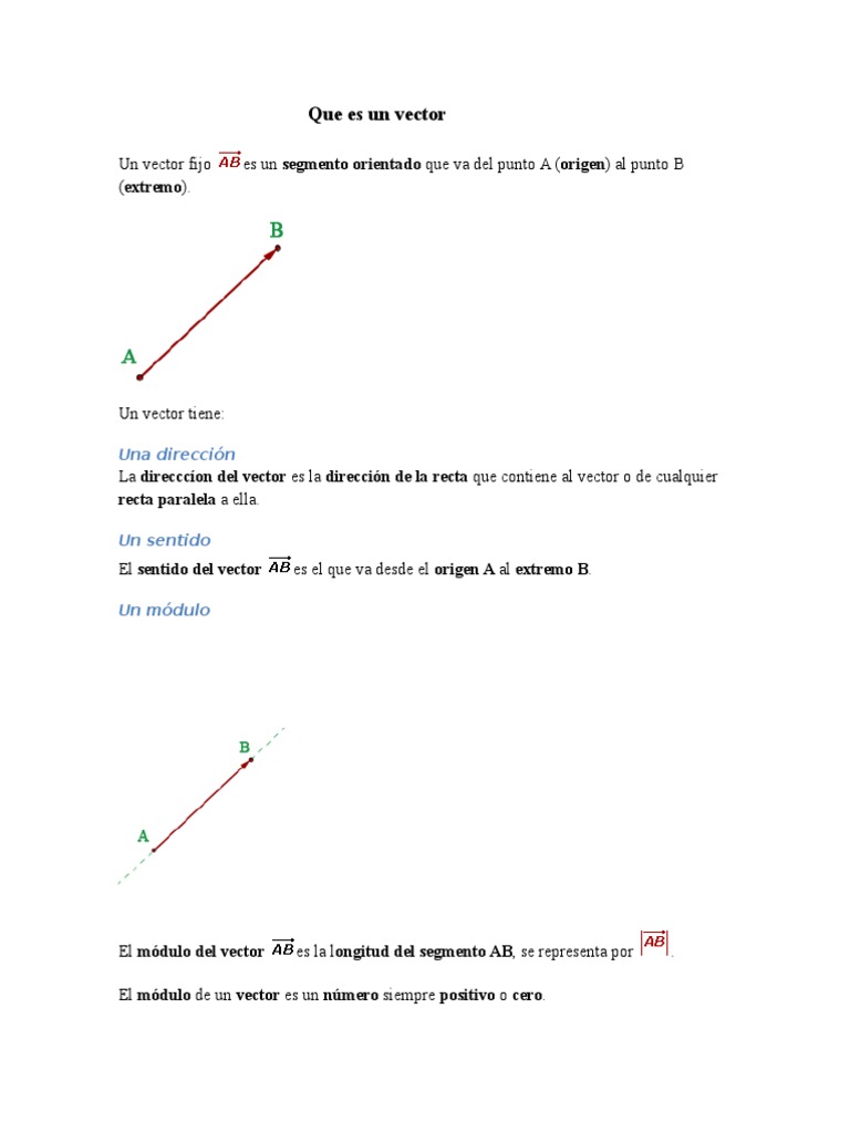 Que Es Un Vector. | PDF