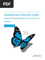 Salesforce Development Lifecycle