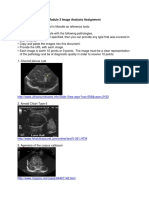 Module 3 Image Analysis Assignment