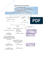 Pathophysiology Acute Pyelonephriti1