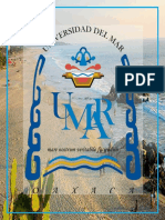 PlandeMarketing-PuertoEscondido Primera Parte