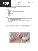 Download Chicken Wing Dissection by claire SN297875233 doc pdf