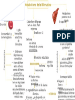 Mapa Conceptual Bilirrubina