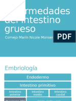 Enfermedades Del Intestino Grueso