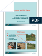 Biomass and Biofuels