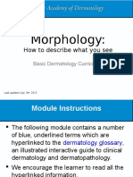 Morphology Skin