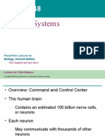 Nervous System