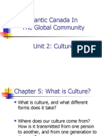 Chapter 5: What Is Culture?