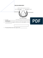 1.2 Transport of Oxygen