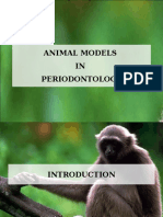 Animal Models in PR