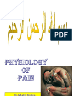 Pain 100306152548 Phpapp02