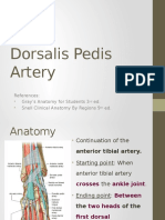 Dorsalis Pedis Artery