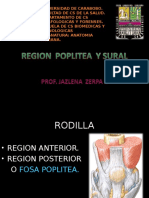 Region Poplitea y Sural Prof. Jzerpa