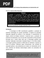 Produção de Proteínas Recombinantes Em Escherichia Coli