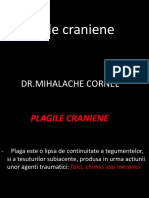 LP 1 Plagile Craniene