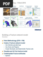 C07 Fracture Model Generation 2010