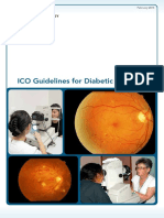 Diabetic Eye Care 2014