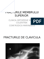 02 Fracturile MS