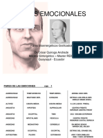 63paresbiomagneticosemocionalesgraficados (1).pdf