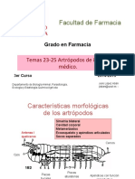 Bloque T23-25 Artropodos