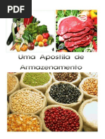 Apostila de Armazenamento