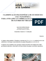 Classificação filogenética de escherichia coli (APEC)