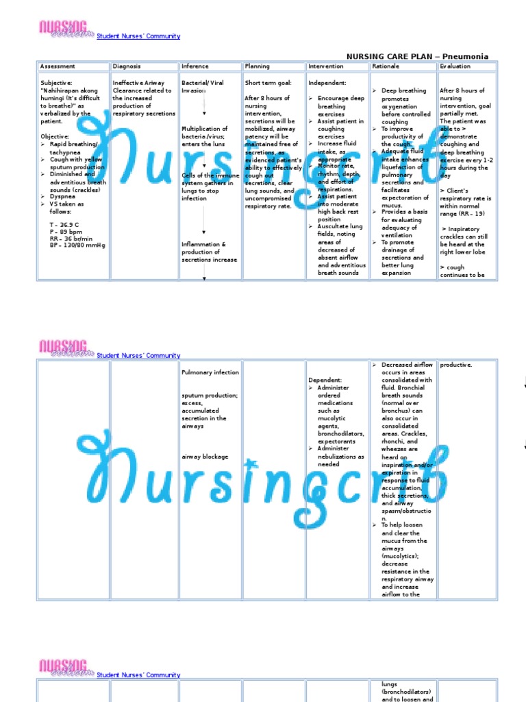 Nursing Care Plan For Pneumonia NCP | PDF | Respiratory Tract | Lung
