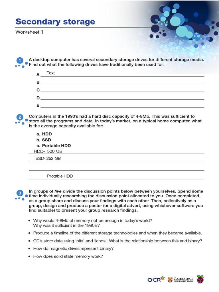 Secondary Storage Drives Worksheet | PDF | Computers