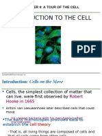Introduction To The Cell