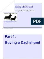 Buying and Owning A Dachshund