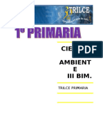 CIENC Y AMBT  III BIM.doc