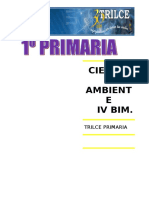 CIENC Y AMBT  IV BIM.doc